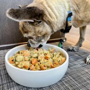 غذای سگ دلپذیر